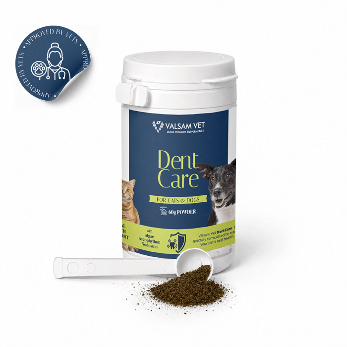 Valsam Vet DentCare – Oral Health